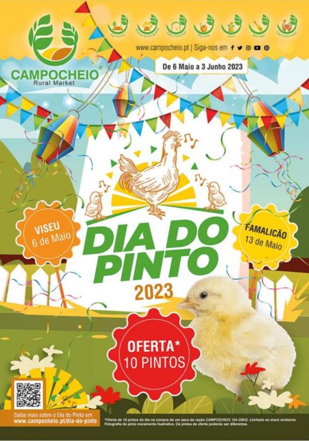 Folheto "O Dia do Pinto". Campo Cheio (2023-06-03-2023-06-03)