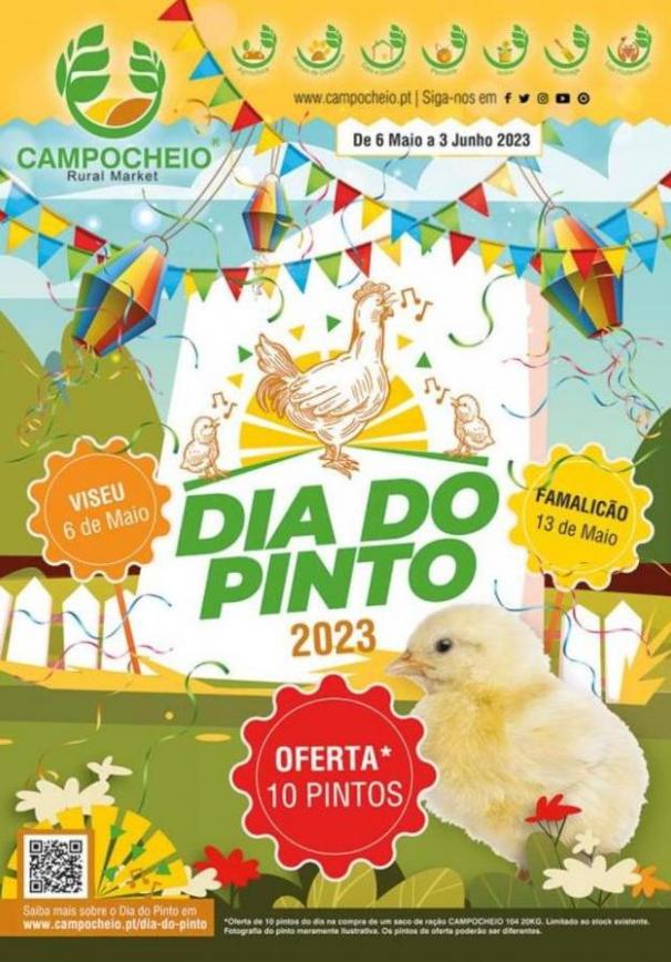 Folheto "O Dia do Pinto". Campo Cheio (2023-06-03-2023-06-03)